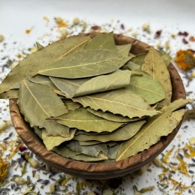 ورق غـــار