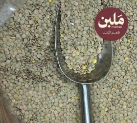 عدس حبة كبيرة