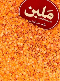 عدس مجــروش