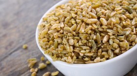 فريــكة بلـــدية