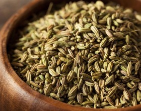 يـانـسون حب