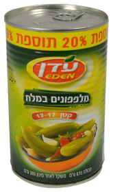 مخلل خيار عيدن 13-17 بلملح