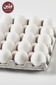 كرتونة بيــض