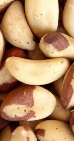 لوز برازيــــلي